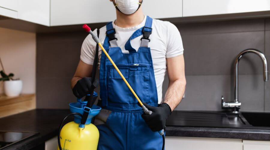 Why choose Spider Extermination Norterra for spider extermination in Norterra
